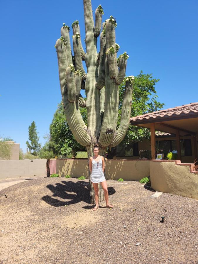 Private, Quite Casita , N. Scottsdale Area,Private Pool & Patio, Cave Creek Az. Apartamento Exterior foto
