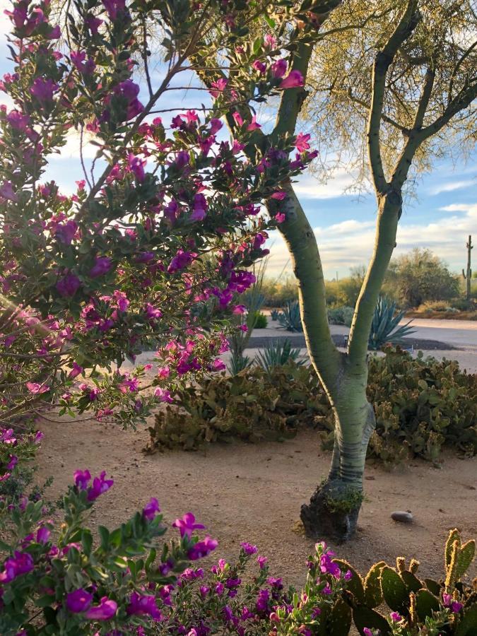 Private, Quite Casita , N. Scottsdale Area,Private Pool & Patio, Cave Creek Az. Apartamento Exterior foto